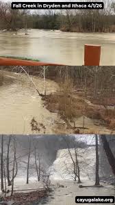 The ice storm left sections of Radnor Lake unrecognizable. The ...