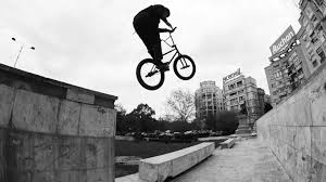 Vezi ce a descoperit bogdan dragos (bogdan_dragos33) pe pinterest, cea mai mare colecție de idei din lume. Raul Jula Animal Bikes Tbb Dig Bmx