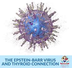 Some also experience headaches, decreased appetite, abdominal pains. The Epstein Barr Virus And Thyroid Health Connection