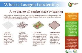 You want something that will break down rather quickly. Lasagna Gardening Or No Dig Primer Garden