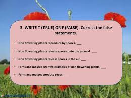 Savesave non flowering plants for later. Natural Science Plants Worksheet