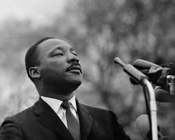 Riverview School Cape Codのプロフィール