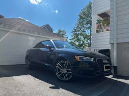 Image result for Beluga Brown 2015 S3