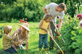 After spending hours under the gruelling sun tending it happens that no matter how often you clean your house, these tiny little pests always find a way now you have to remember; Natural Homemade Pest Control El Gardener