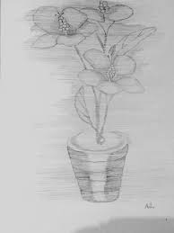 Although you may already be familiar with horizontal and vertical borders, they are limited to the grid housing individual cells. Drawing Horizontal Lines Dibujo Por Antho Artmajeur