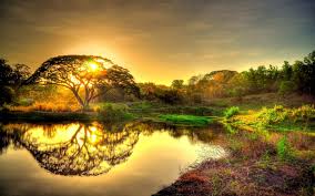 Maybe you would like to learn more about one of these? Hd Wallpaper For Pc 4k Nature