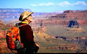 Houston animal shows is owned and operated by wild things zoofari inc. Top 10 Benefits Of Travelling Learn Why Travelling Is Good For You