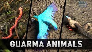 Red Dead Redemption 2 All Guarma Animals Missable