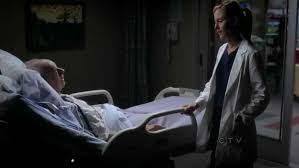 Who Did Owen Cheat On Christina Yang With? Answered - Otakukart