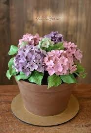 Blumentopf Kuchen Google Suche Blumentopf Geburtstagskuchenmutter Googlesuche Kuchen Geburtstagstorte Fur Mama Mutter Kuchen Topfblumen