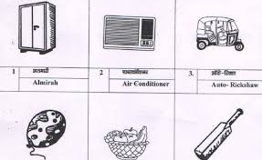 Symbols Like Green Chilli Scissors Ac Add Colour And Humour To Delhi Municipal Polls