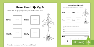 Maybe you would like to learn more about one of these? Bean Plant Life Cycle Sentence Writing Worksheet