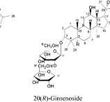 Stereospecific antioxidant effects of ginsenoside Rg3 on ...