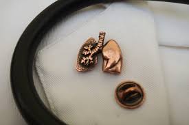 Buy Copper Lung Lapel Pin-cc390c Medical and Anatomy, Respiratory  Accessories-white Coat Pins for Nurses and Doctors Online in India