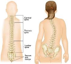 How to fix the bone sticking out of my neck | hump on the back of my neck. Marfan Syndrome Orthoinfo Aaos