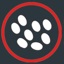 Csatát nyert mészáros lőrinc érdekköreivel szemben áder jános. Xhqcdnbkf7hqgm