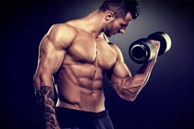 Kol Kaslarini Gelistirmek Icin Hangi Hareketler Yapilmali Protein7 Blog