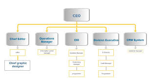 the pizza experts 1 3 organization chart for cis department