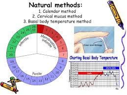 Natural Family Planning American Pregnancy Association