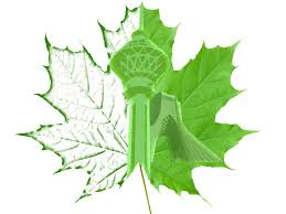 تصویر مرتبط