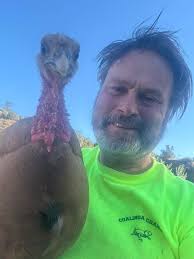 Seeing many turkeys in Sonora, CA