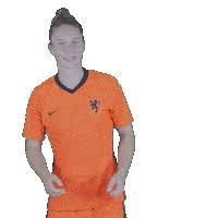 Check spelling or type a new query. Oranjeleeuwinnen 2020 Gifs Find Share On Giphy