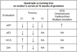 Quadruple Screening Test Negative Means Quad Screen Second Trimester Prenatal Screening