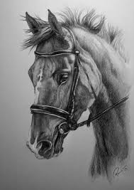 horse commission by nutlu realistic animal drawings pencil drawings of animals animal drawings sketches