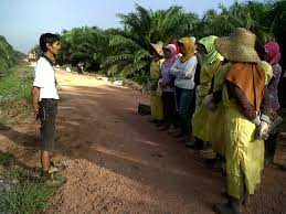 Maybe you would like to learn more about one of these? Apa Sih Asisten Agronomi Atau Asisten Lapang Beweis Von Liebe Unsere