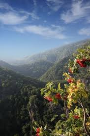 image of travel on mountains के लिए चित्र परिणाम