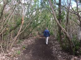 John Pennekamp Coral Reef State Park