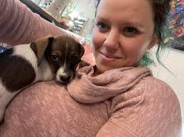 Hey guys I'm due to get my Miniature dachshund in 2 weeks and just wanted  to know which supplements you would all recommend getting please? Thank  youuu💗