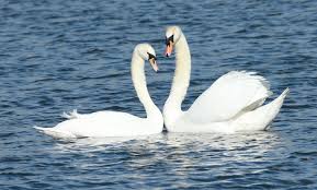 file_2497x1508_052701