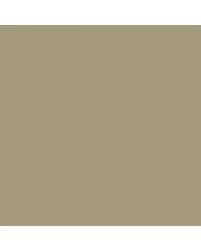 Image result for Savannah Beige 1969 Audi