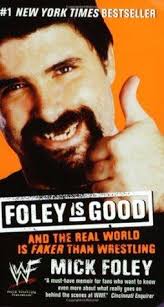 Foley Is Good Chapter Summary