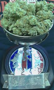 Big pete's treats are always fresh, consistant and . Veganic Girl Scout Cookies Wins U S Cannabis Cup
