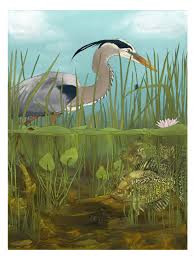 Navegue pelas 15,605 pond from above imagens e fotografias de stock disponíveis ou comece uma nova pesquisa. Artstation Above Below Pond Life Micaela K