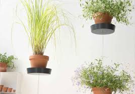 We did not find results for: Vente Support Mural Pour Plantes