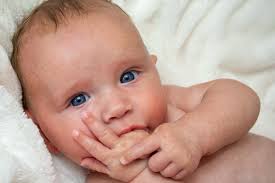 Looking for some honest CC (please don't be too harsh🙈) Real beginner,  only had my camera for 2 weeks and this is the first shoot I did of my  baby! I know