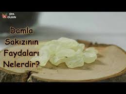 damla sakizinin faydalari nelerdir youtube saglikli yasam sakiz dogal receteler