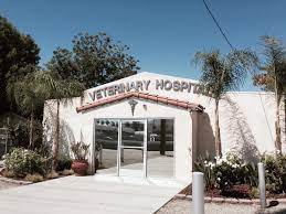 Tour Our Hospital The Pets Place Animal Hospital Riverside Ca