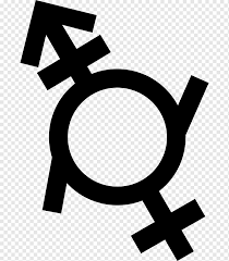 Nada de smut, sólo subido de tono. Androgyny Gender Symbol Genero Fluido Lack Of Gender Identities Symbol Sign Gender Symbol Gay Pride Png Pngwing