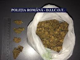 Starea vremii la ora :21:00 astazi: Trei BÄƒrbaÈ›i Din CernavodÄƒ ArestaÈ›i Pentru Trafic De Droguri Ordinea Ro