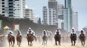 Видео канала magic millions, ( 1402 видео ). Business As Usual Expected For January S Magic Millions