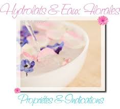 Hydrolats Eaux Florales Proprietes Indications Utilisations By Reo Cosmetiques Maison Diy Conseils Beaute Maquillage Savons Soins Naturels Bi Cosmetiques Maison Hydrolat Cosmetique