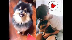 Any information you publish in a comment, profile, work, or content that you post or import onto ao3 including in summaries, notes and tags, will be accessible . Bts Yeontan Moments Youtube