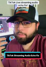 It Feels Like My Echo Has Stopped Listening