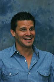 89 David Boreanaz ideas
