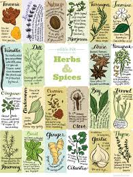 herbs and spices fun facts infographic edible ink