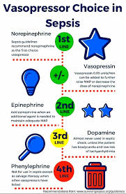 Image result for Vasopressor